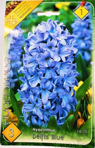 Jácint Delfts Blue