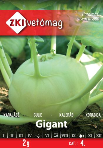 ZKI Vetőmag GIGANT 2g