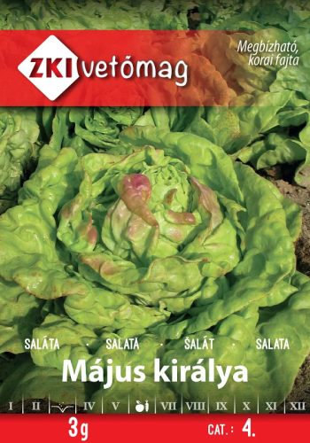 ZKI Vetőmag Saláta MÁJUS KIRÁLYA 3g