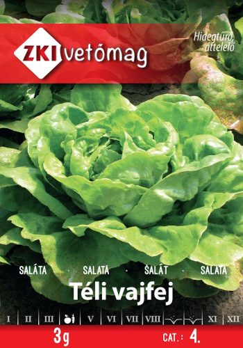 ZKI Vetőmag Saláta TÉLI VAJFEJ 3g 
