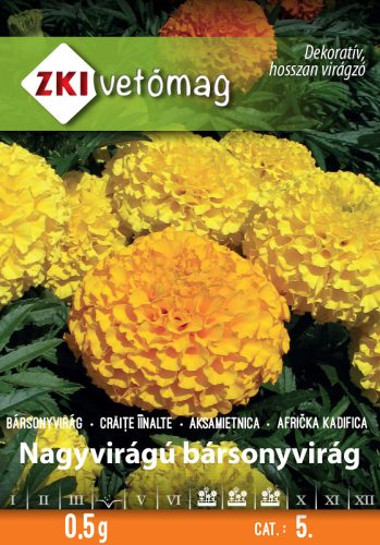 ZKI Vetőmag Nagy bársonyvirág Magas színkeverék 0,5g